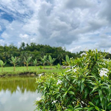 Jazz Ferme Inn Batuan Bohol Экстерьер фото