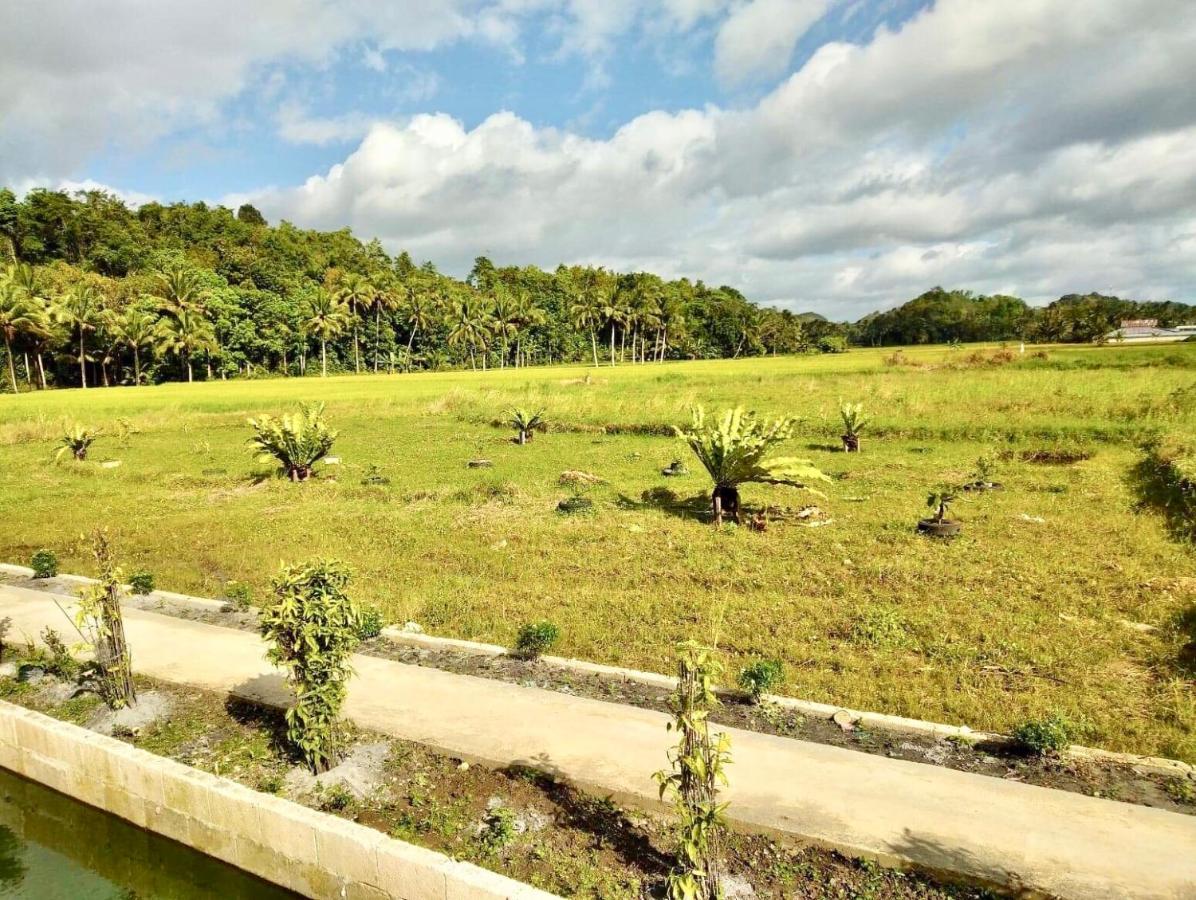 Jazz Ferme Inn Batuan Bohol Экстерьер фото