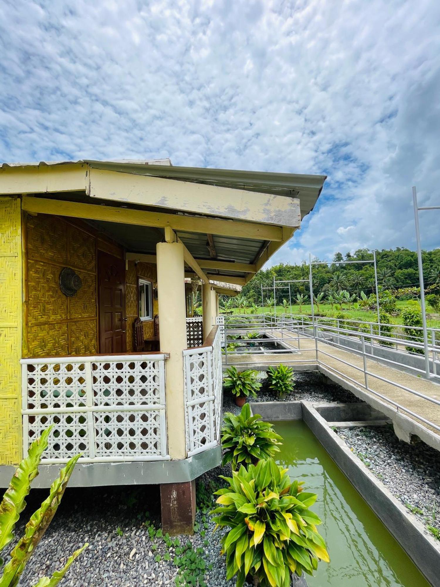 Jazz Ferme Inn Batuan Bohol Экстерьер фото