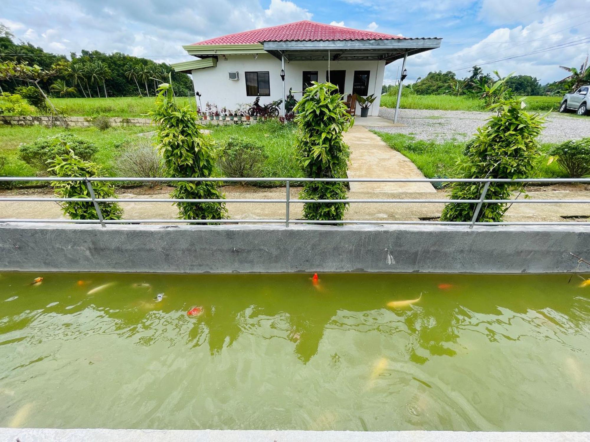 Jazz Ferme Inn Batuan Bohol Экстерьер фото