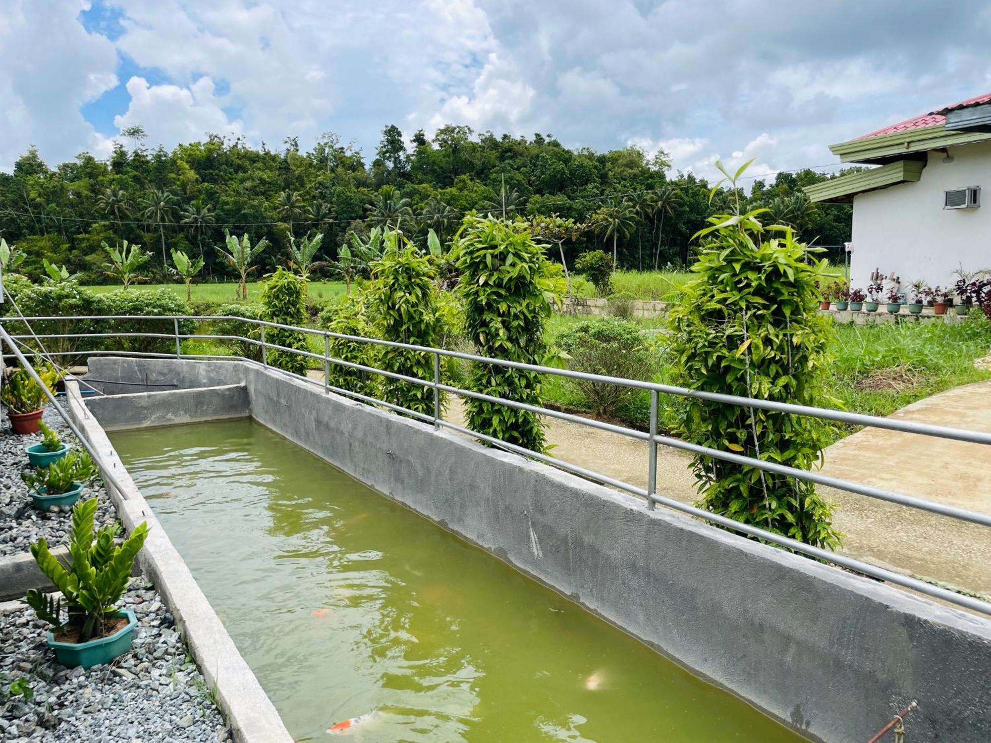 Jazz Ferme Inn Batuan Bohol Экстерьер фото